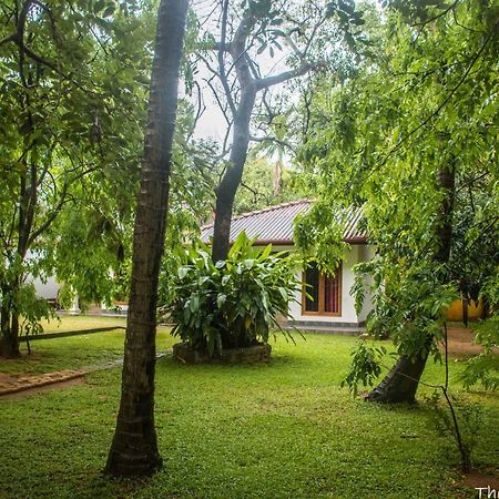 The Calm Cabana Hotel Dambulla Bagian luar foto