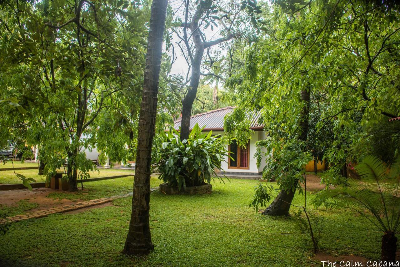 The Calm Cabana Hotel Dambulla Bagian luar foto