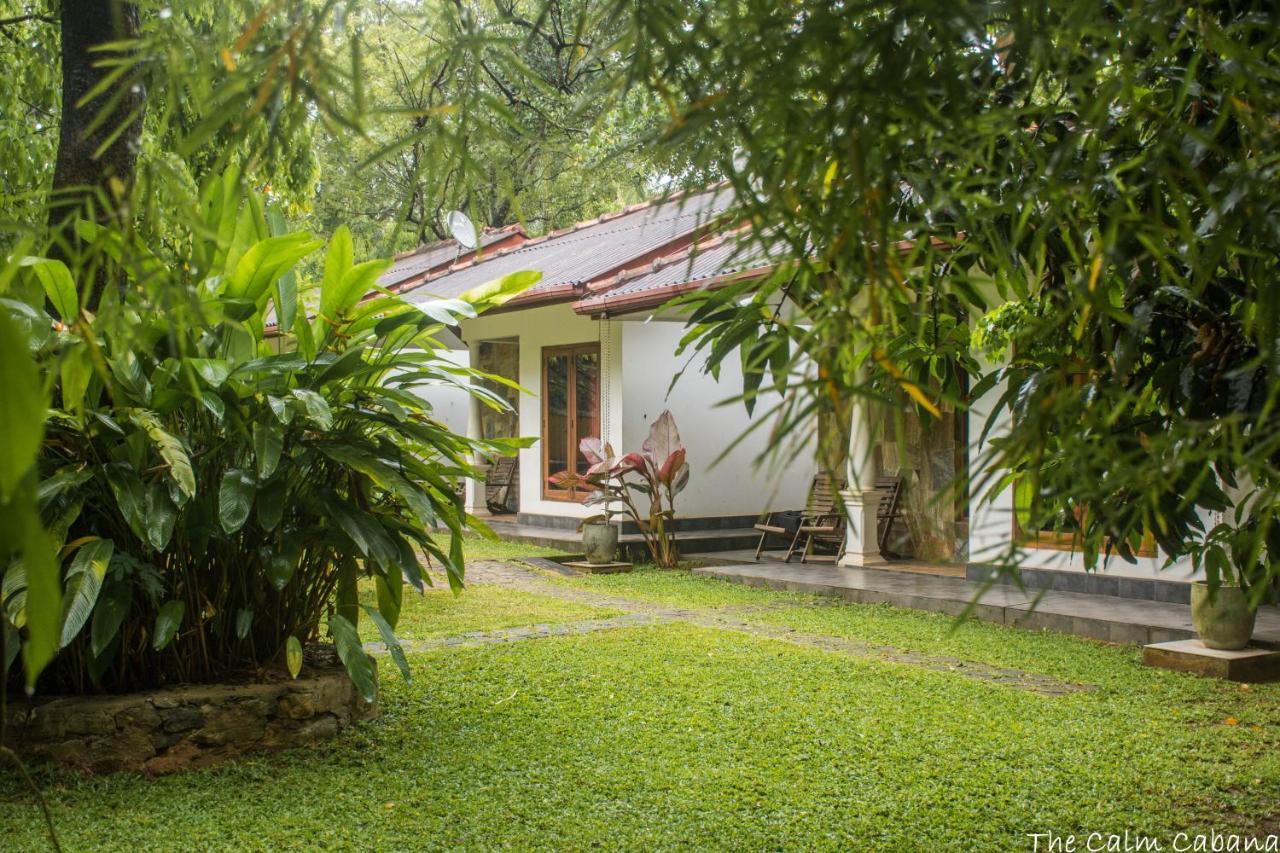 The Calm Cabana Hotel Dambulla Bagian luar foto