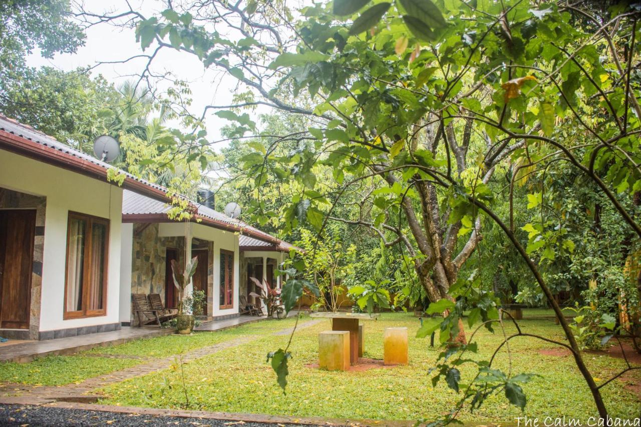 The Calm Cabana Dambulla Bagian luar foto