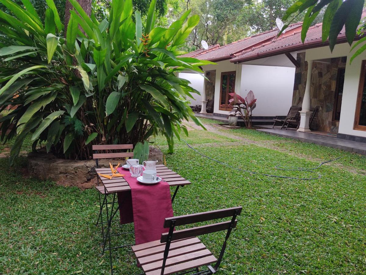 The Calm Cabana Hotel Dambulla Bagian luar foto